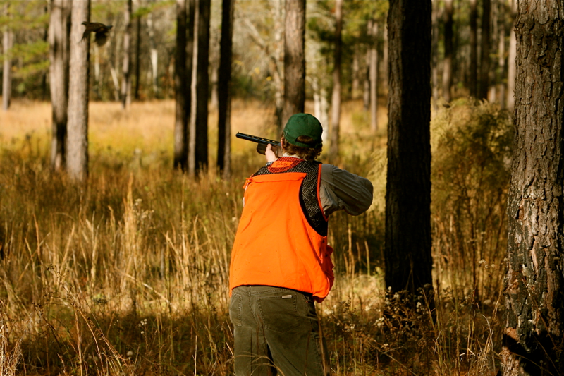 Illustration for article titled How To Shoot A Shotgun